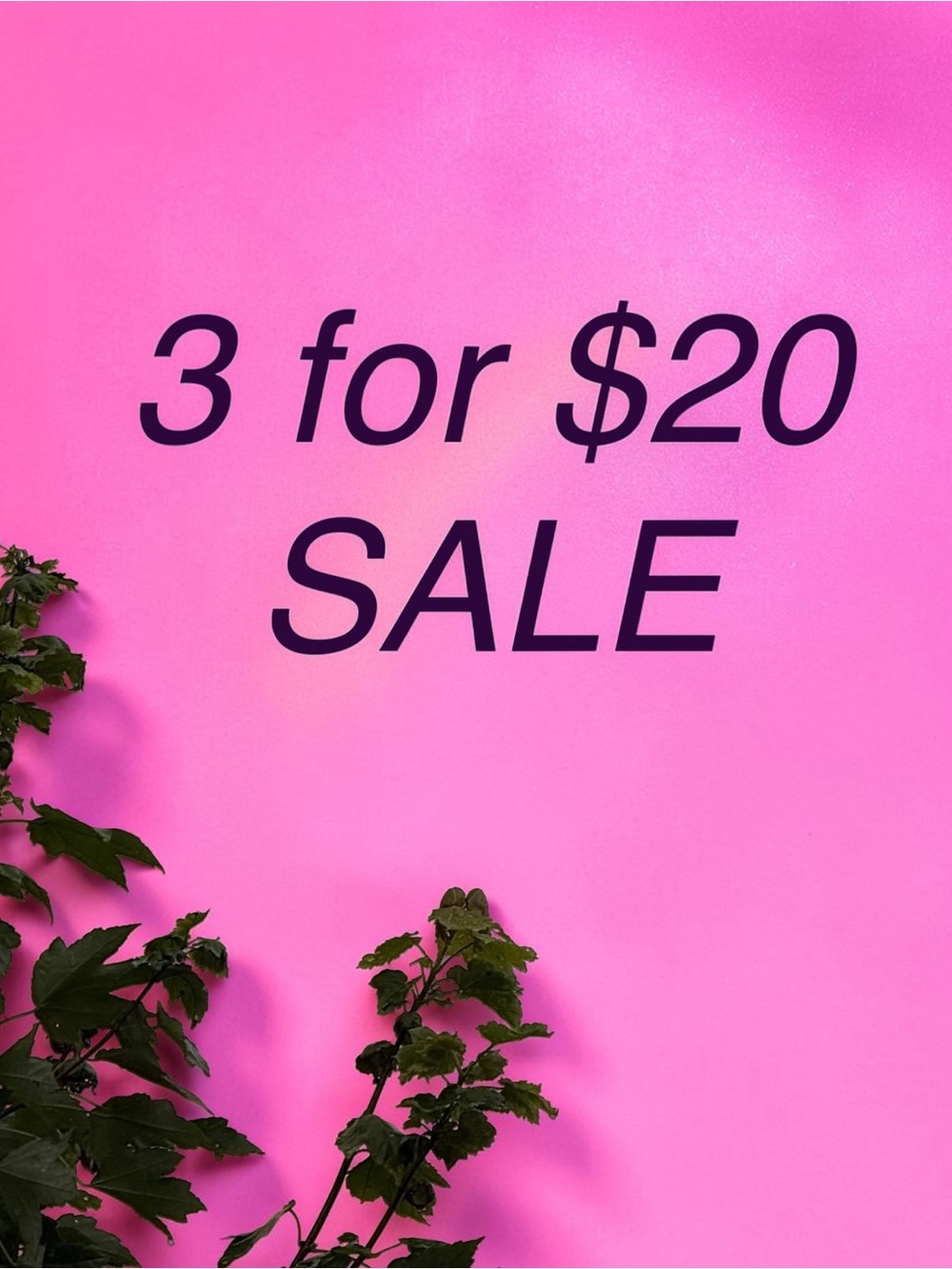 3 for $20 Sale!